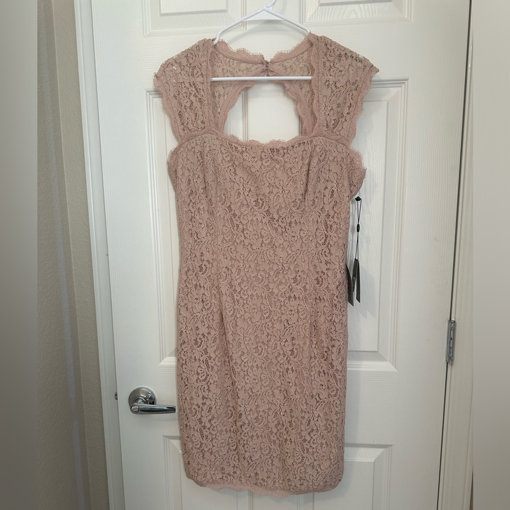 Brand new with tags Adrianna Pappel Dress in blush